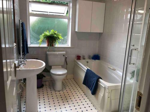 a bathroom with a toilet and a sink and a tub at The Piano House in Carlow