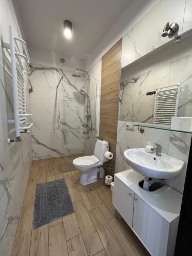 ウェバにあるPokoje goscinne U Marynarzaのバスルーム(トイレ、洗面台付)