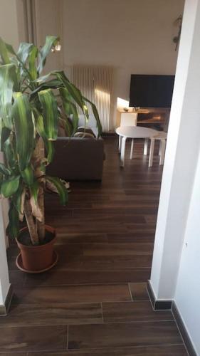 uma sala de estar com um vaso de plantas no chão em Magnifique appartement em Estrasburgo