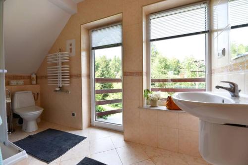 a bathroom with a sink and a toilet and windows at Dom wśród Modrzewi in Uście Gorlickie