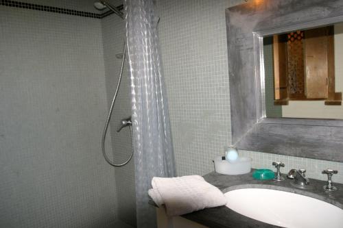 y baño con ducha, lavabo y espejo. en Mirabelle en Provence, en Eygalières