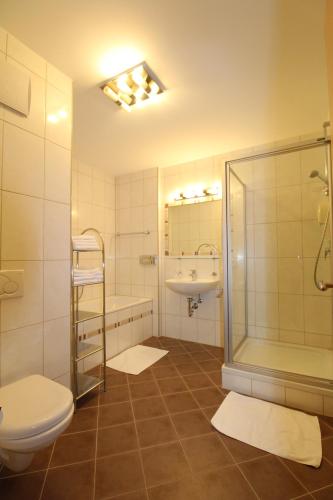 ein Bad mit einem WC, einem Waschbecken und einer Dusche in der Unterkunft Apartment Lamtana in Ischgl