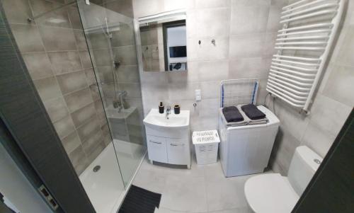 La salle de bains est pourvue d'une douche, de toilettes et d'un lavabo. dans l'établissement Centrum Prusa Prestige 211, à Lublin