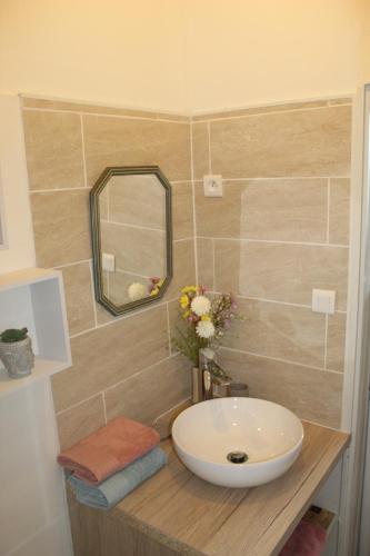 a bathroom with a sink and a mirror at Le petit Orléanais in Orléans