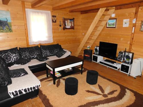 a living room with a couch and a tv at Planinska tišina Guest House in Pluzine