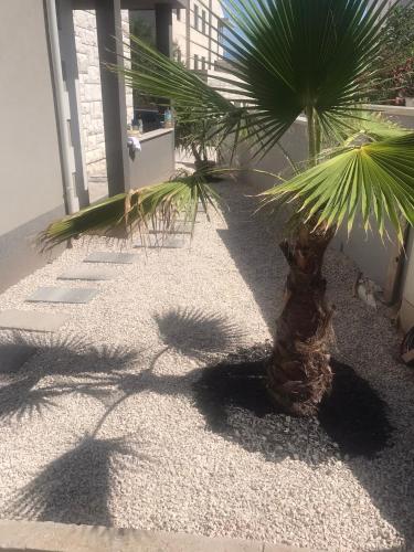 a palm tree in the middle of a courtyard at Daphne Luxe Retreat -Sea View-King size bed- in Supetar