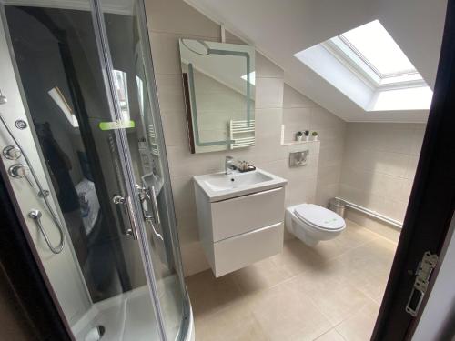 a bathroom with a toilet and a sink and a shower at Casa Marisa in Eforie Nord