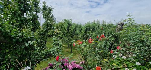 a garden filled with flowers and trees at COSMA HOUSE in Hinojedo