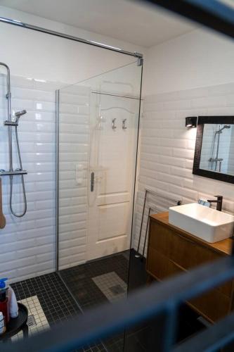 une salle de bain avec douche et lavabo dans l'établissement Haussmanien, à Angers