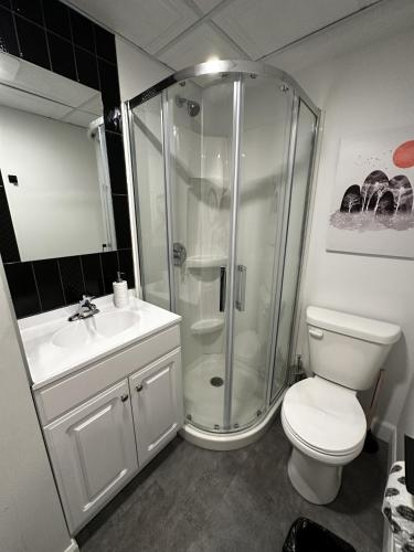 a bathroom with a shower and a toilet and a sink at Le Chambreur in Rouyn