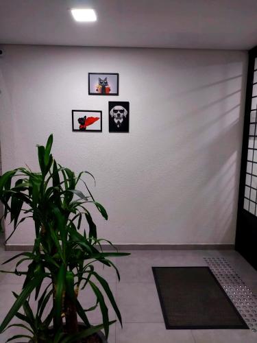 a room with a plant and pictures on the wall at Pousada São José in Joinville