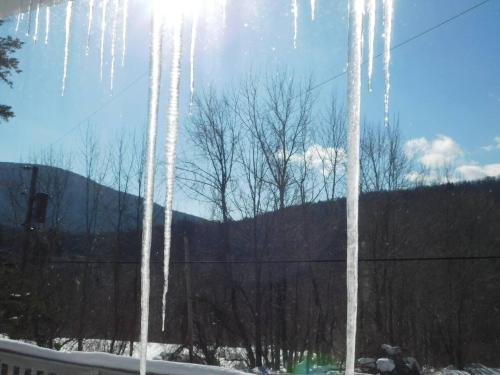 a view of icicles from a window with trees at Catskill Mountain Retreat in West Kill