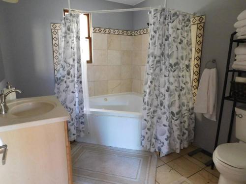 ein Badezimmer mit einer Badewanne, einem WC und einem Waschbecken in der Unterkunft Catskill Mountain Retreat in West Kill
