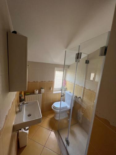 uma casa de banho com um WC e uma cabina de duche em vidro. em Apartmani Iva em Biograd na Moru