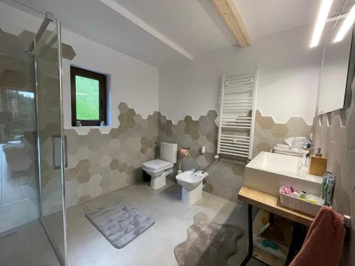 a bathroom with a toilet and a sink and a shower at Atipic Chalet in Holda