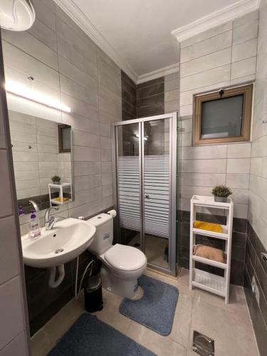 a bathroom with a toilet and a sink and a shower at The Arabian Oryx in Amman
