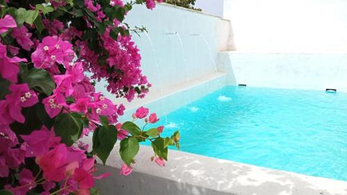 uma piscina com flores rosas ao lado de um edifício em Villa Buganvillas, relax con piscina privada a pocos minutos de la Barrosa y Santi Petri em Chiclana de la Frontera