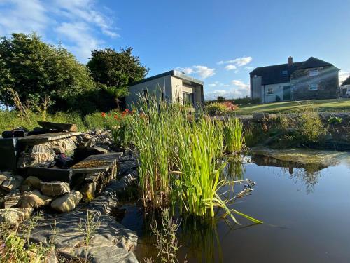 a pond in a garden with a building in the background at The Shepherd's Lodge in Tullyallen