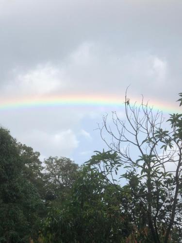 a rainbow in the sky behind some trees at Royal residency in Tindummal