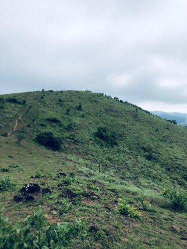 a grassy hill with trees on top of it at Royal residency in Tindummal