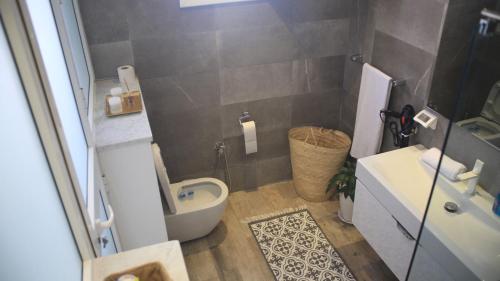 a small bathroom with a toilet and a sink at la villa farniente de sidi bou said in Sidi Bou Saïd