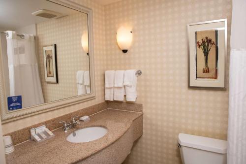 Hilton Garden Inn Erie في ايري: حمام مع حوض ومرحاض ومرآة