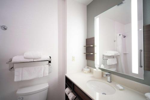 a bathroom with a sink and a toilet and a mirror at Hilton Garden Inn Evansville in Evansville