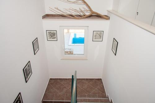 Φωτογραφία από το άλμπουμ του Apartments Belveder σε Pag