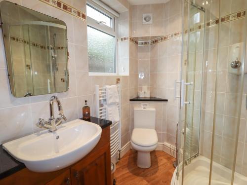 y baño con lavabo, ducha y aseo. en Cedar Gardens, en Llabedr-Dyffryn-Clwyd