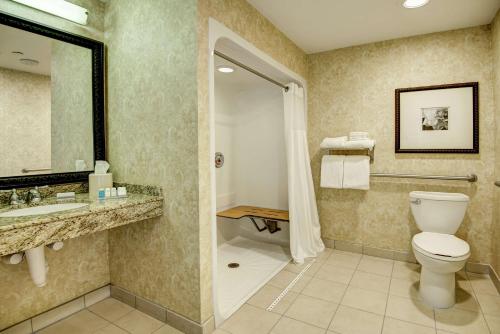 a bathroom with a toilet and a sink and a shower at Hilton Garden Inn Lakewood in Lakewood