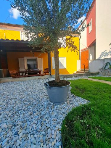 a tree sitting in a pot next to a house at Kvarner holiday home in Jadranovo