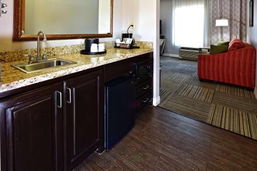 cocina con fregadero y encimera en Hampton Inn & Suites Fredericksburg, en Fredericksburg