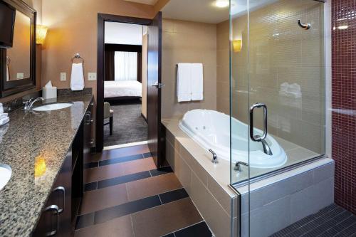 a bathroom with a tub and a glass shower at Hilton Garden Inn Sioux Falls South in Sioux Falls