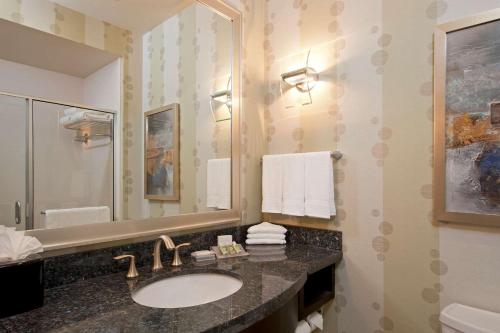 y baño con lavabo y espejo. en Hilton Garden Inn Ft Worth Alliance Airport en Roanoke