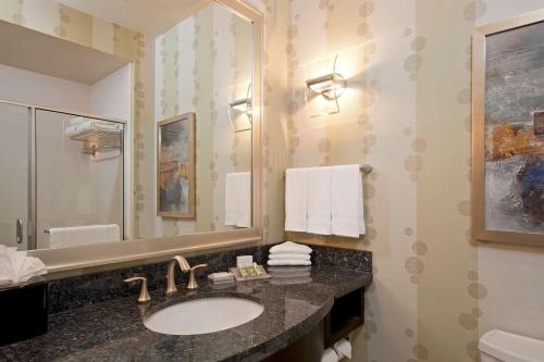 a bathroom with a sink and a mirror at Hilton Garden Inn Ft Worth Alliance Airport in Roanoke