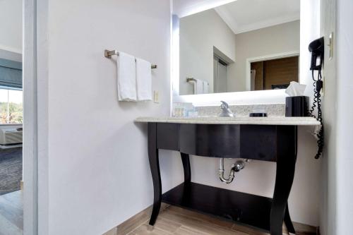 a bathroom with a sink and a mirror at Hampton Inn & Suites Fort Worth-Fossil Creek in Fort Worth