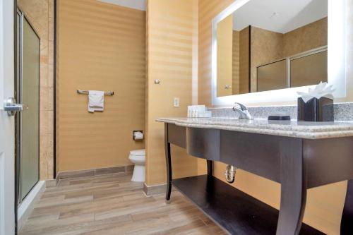 a bathroom with a sink and a toilet at Hampton Inn & Suites Fort Worth-Fossil Creek in Fort Worth