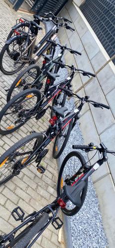 Jízda na kole v ubytování Pause Gubin nebo okolí
