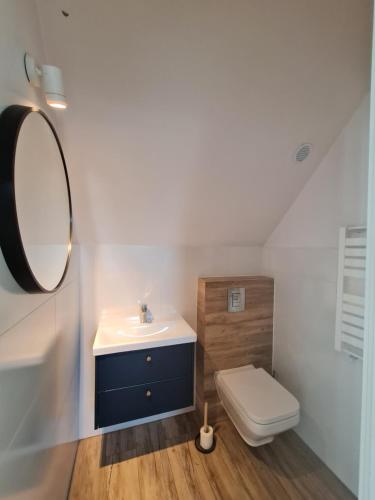 a bathroom with a sink and a toilet and a mirror at MiLeśnik- domek całoroczny in Sztutowo