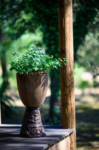 a plant in a pot sitting on a porch at Villa Vanille in Boisseron