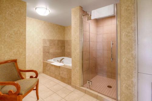 a bathroom with a shower with a sink and a tub at Hilton Garden Inn Great Falls in Great Falls