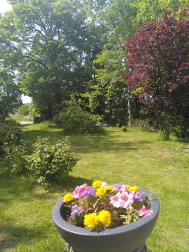 a large flower pot filled with flowers in a yard at Ferienhaus Am Fehntjer Tief in Emden