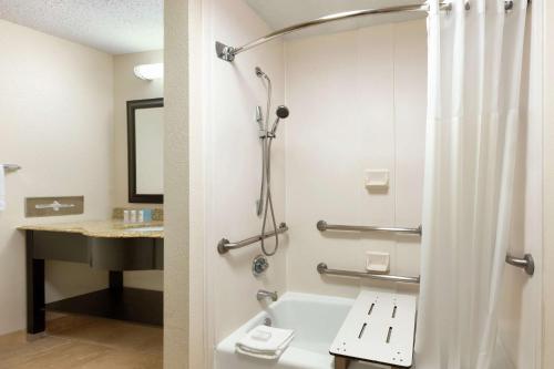 a bathroom with a shower and a sink at Hampton Inn and Suites Houston Clear Lake NASA in Webster