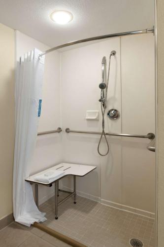 a shower stall with a bench in a bathroom at Hampton Inn and Suites Houston Clear Lake NASA in Webster