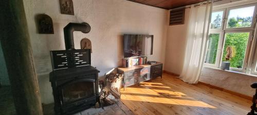 a living room with a wood burning stove in it at Ferienhaus am Haff in Hintersee