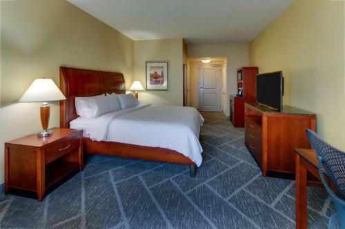 a hotel room with a bed and a television at Hilton Garden Inn Indianapolis Airport in Plainfield
