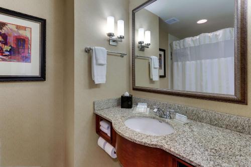 a bathroom with a sink and a mirror at Hilton Garden Inn Indianapolis Airport in Plainfield