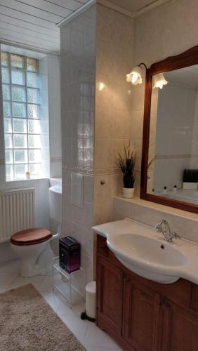 W łazience znajduje się umywalka, toaleta i lustro. w obiekcie Anno Apartman w Balatonföldvárze