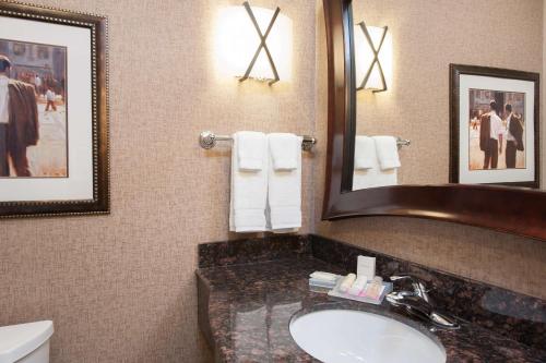 a bathroom with a sink and a mirror at Hilton Garden Inn Indianapolis South/Greenwood in Indianapolis