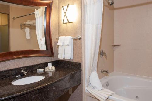 a bathroom with a sink and a tub and a mirror at Hilton Garden Inn Indianapolis South/Greenwood in Indianapolis